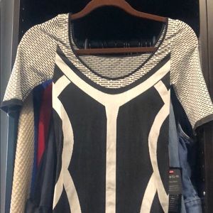 NWT Sexy Bebe bodycon dress